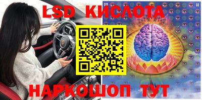 эйфоретик Донской