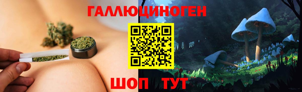 Мирный  Псилоцибиновые грибы Magic Shrooms  Вход с VPN 